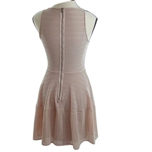 BCBGMaxazria Dress Soft Pink Cassandra Mini Fit and Flare Sleeveless Size XS - Picture 4 of 6